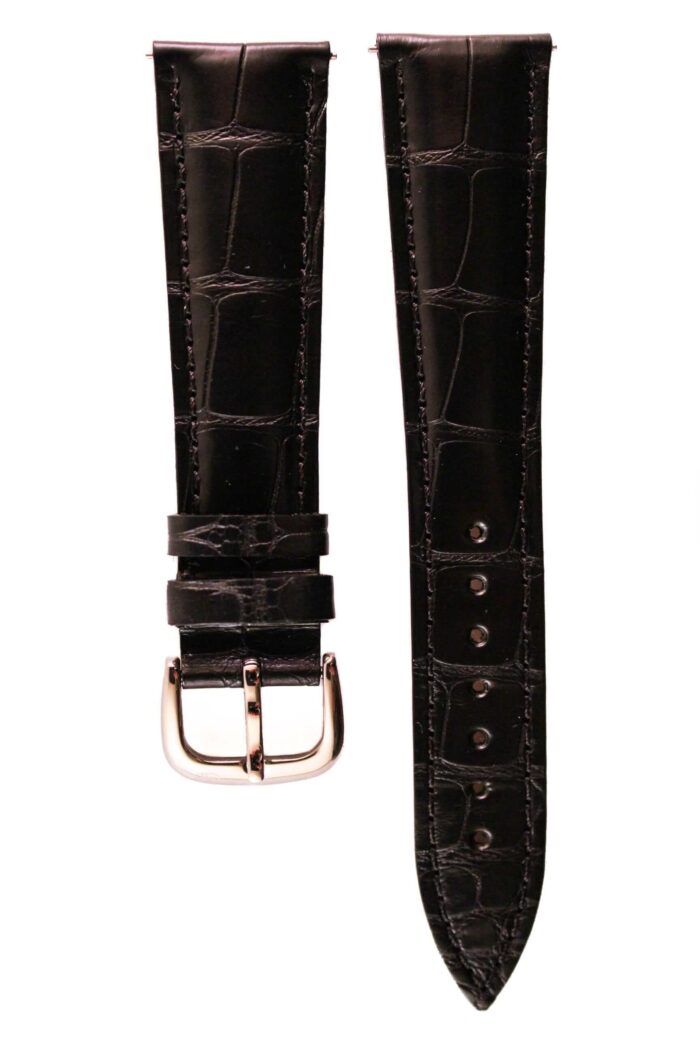 alligator black springbar