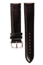 varanus salvator black