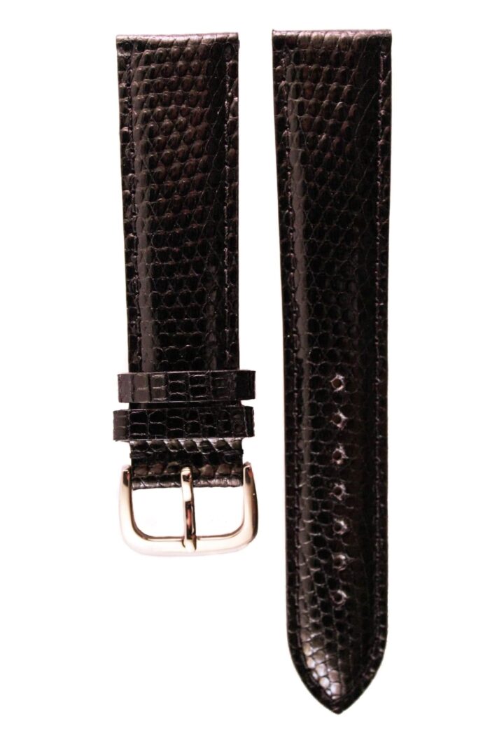 varanus salvator black