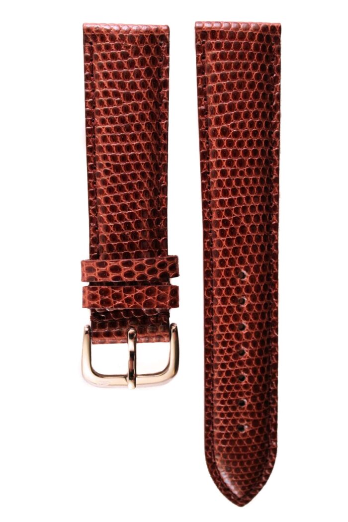 varanus salvator brown